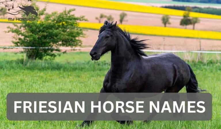 friesian horse names