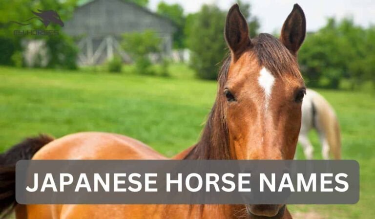 japanese horse names