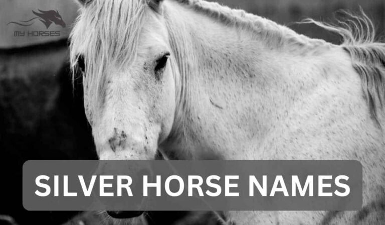 silver horse names