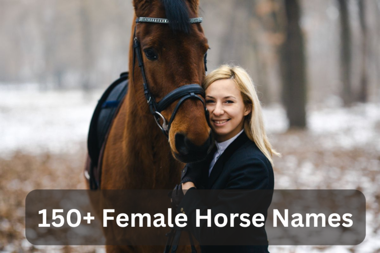 150+ Female Horse Names